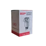 BGP
